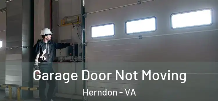  Garage Door Not Moving Herndon - VA