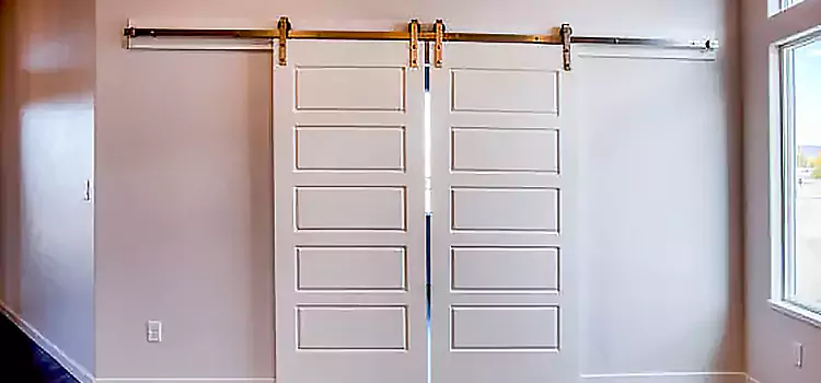 Glass Barn Door with Installation Hardware Kit Herndon
