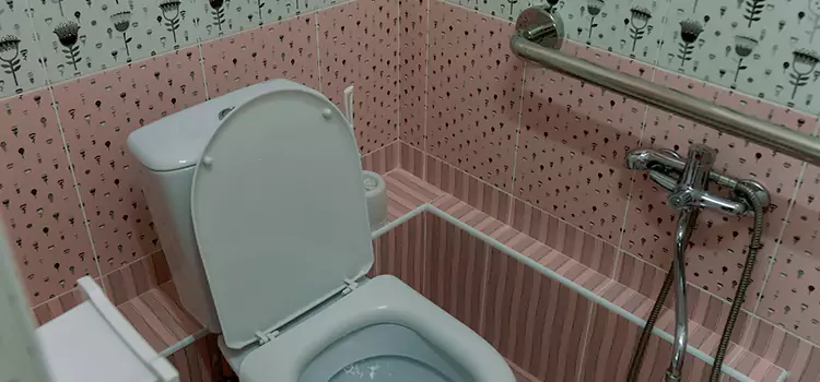 Meeting Diverse Needs With Accessible Restroom Solutions in Herndon, VA